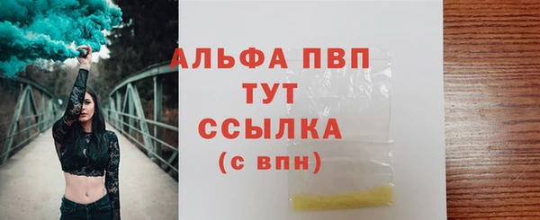 apvp Белокуриха