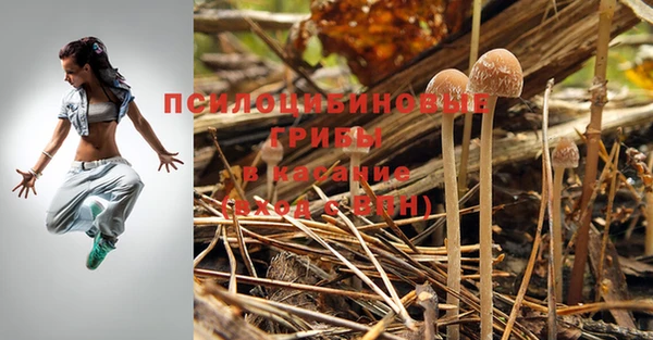 бутират Беломорск