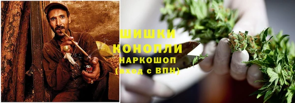 apvp Белокуриха